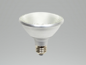 PAR30FL10S/830/ECO2/LED