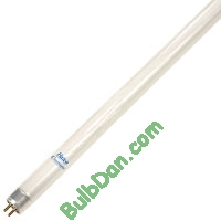 F54T5/835/HO/ECO/IC/CS, 25 pack