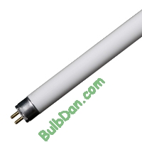 F49T5/850/HO/ECO, case of 25
