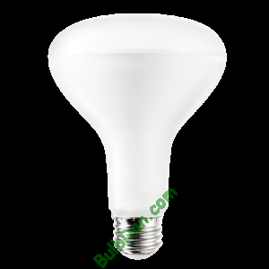 BR30FL8/827/ECO/LED/6