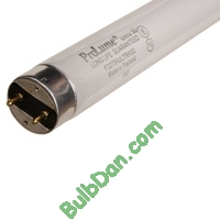 F18T8CW/K24, 25 pack