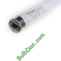 F28T8/841/ECO, 25 pack