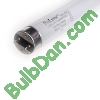 F58T8/840, 25 pack