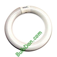 FC9T9/830, 12 pack